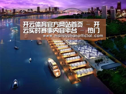 案例展示八