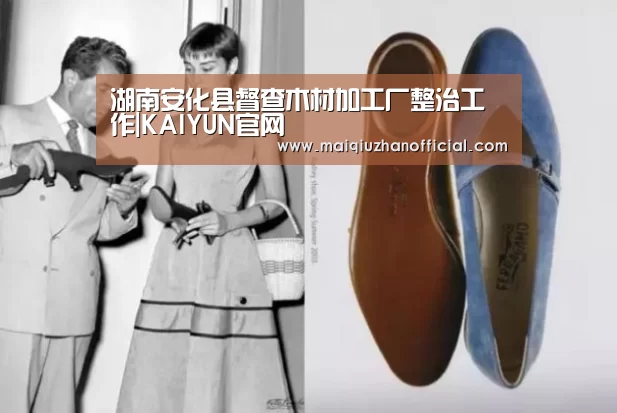 湖南安化县督查木材加工厂整治工作|KAIYUN官网(图1) 开云体育
