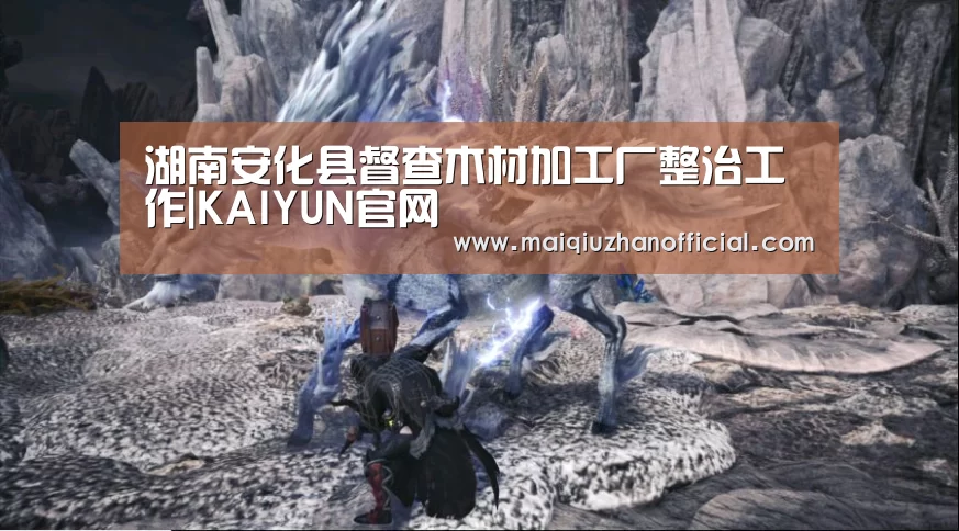 湖南安化县督查木材加工厂整治工作|KAIYUN官网(图2) 开云体育官网