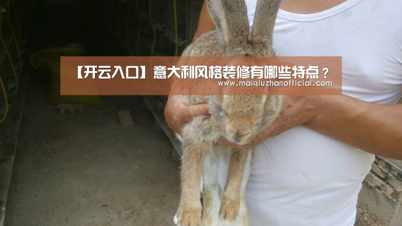 开云入口