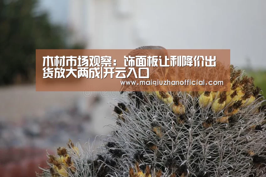 开云入口