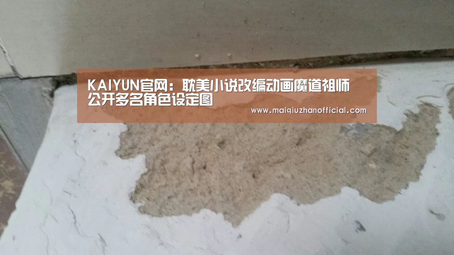 开云体育官网