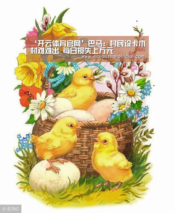 ‘开云体育官网’巴马:村民设卡木材难难出 每日损失上万元(图2) 开云体育