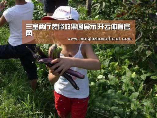 三室两厅装修效果图展示|开云体育官网(图3) KAIYUN官网