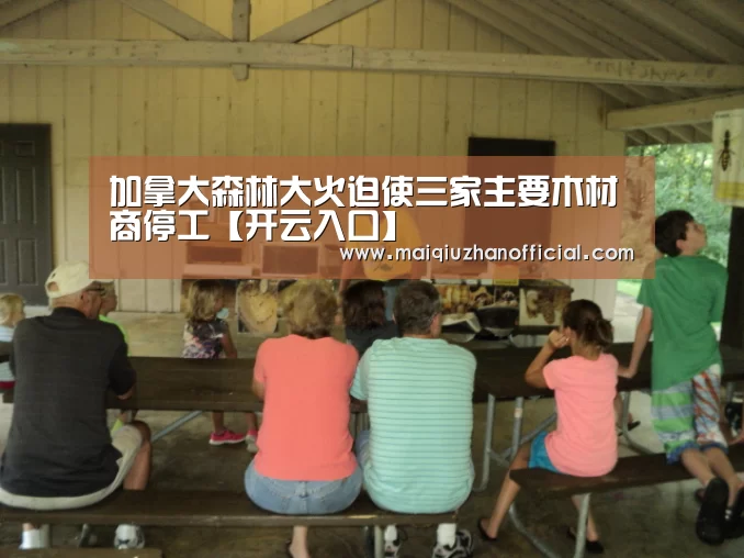 开云体育