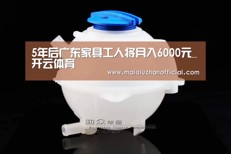 5年后广东家具工人将月入6000元_开云体育(图1) 开云体育