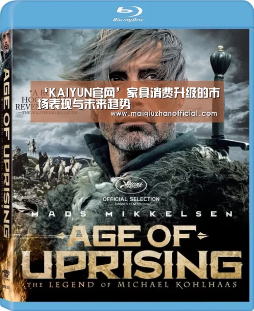 ‘KAIYUN官网’家具消费升级的市场表现与未来趋势(图1) 开云入口