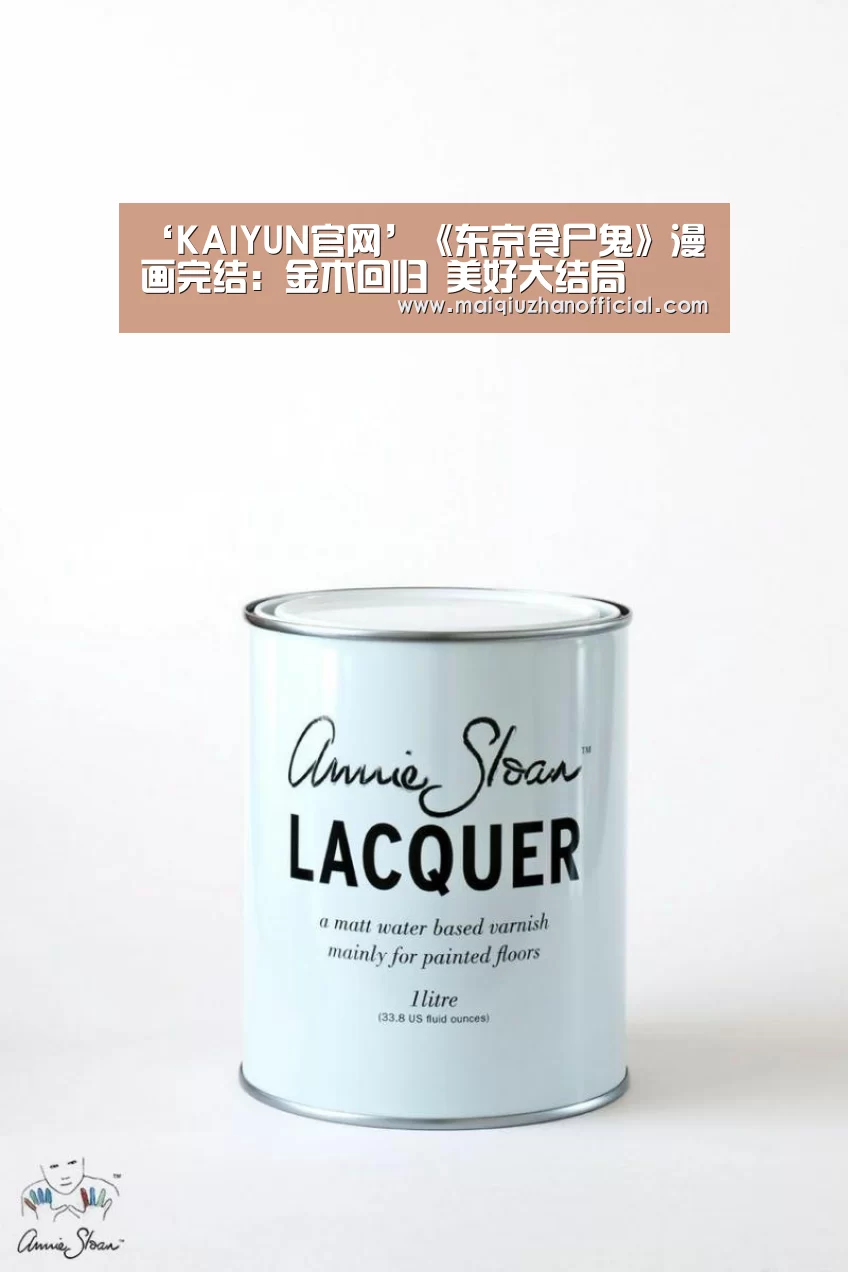 ‘KAIYUN官网’《东京食尸鬼》漫画完结:金木回归 美好大结局(图1) KAIYUN官网